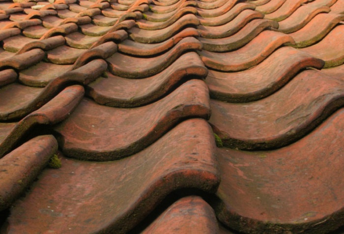 Roof Tiles by Liz Jones