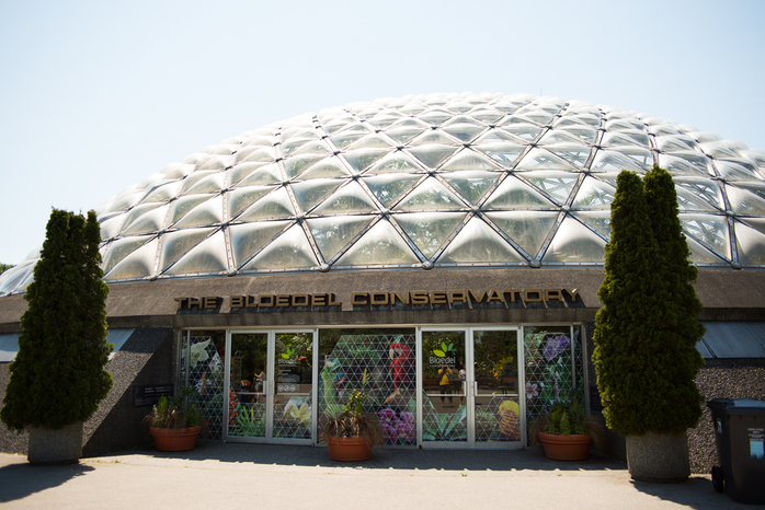 Bloedel Conservatory in Vancouver
