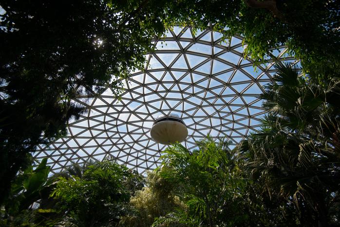 Glass Dome Of Bloedel Conservatory