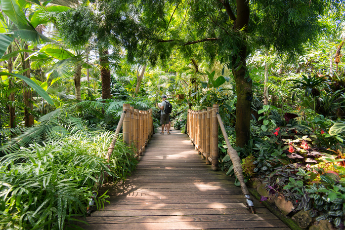 Walking Paths of Bloedel Conservatory