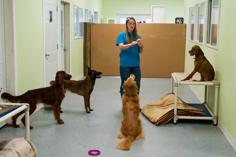 Both grils from A Dogs Life K9 Center are working also as the dog trainers