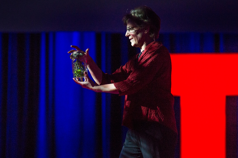 Sara Lewis TED 2014 Vancouver