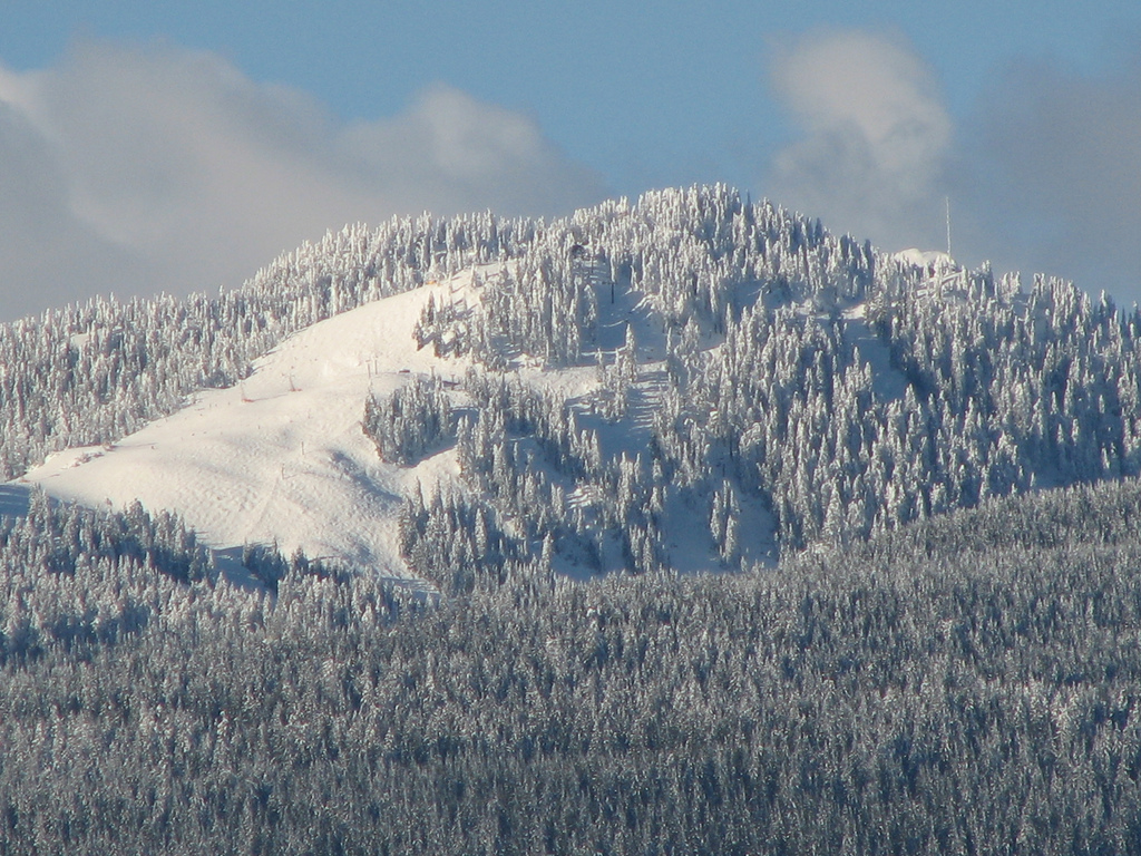 Frosty mountainside