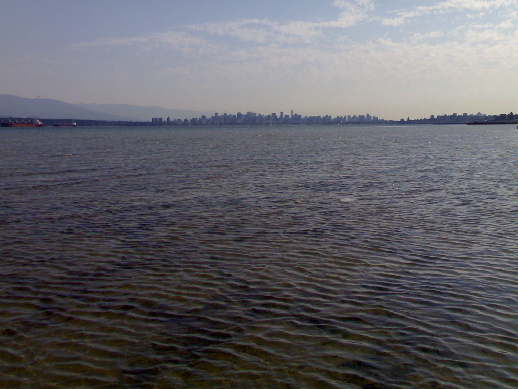 Vancouver from the distance