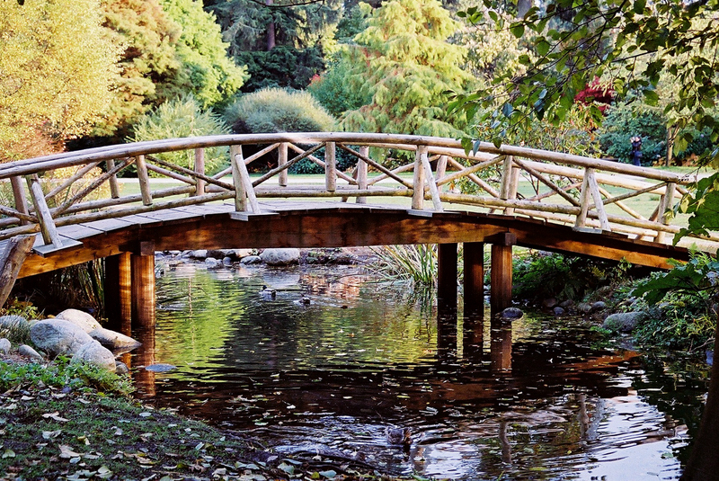 Wooden Bridge in Stanley Park