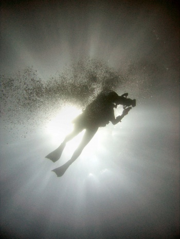 Diver Silhouette by Tim Sheerman Chase