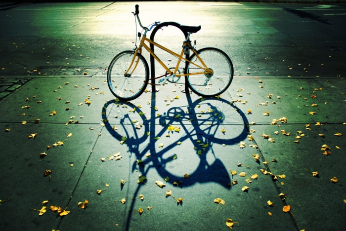 Autumn Cycle by Mo Riza