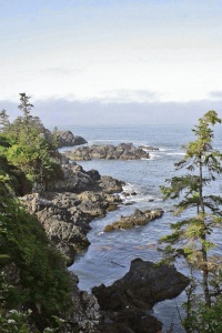 Ucluelet by Docbrakes