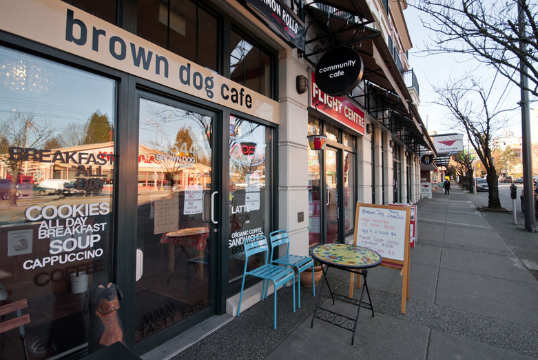 Point Grey Dog Brown Cafe