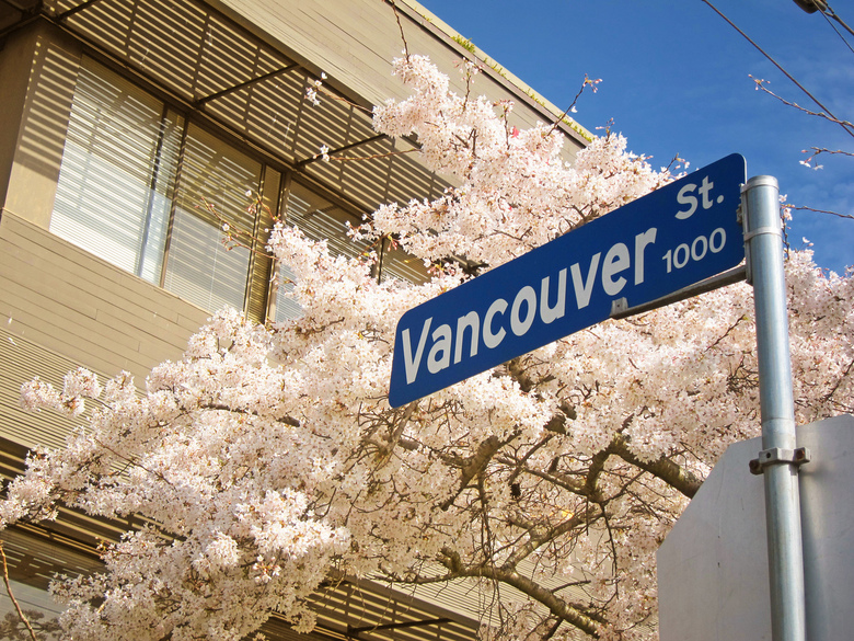Vancouver street and blossoms by Nick Kenrick